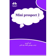 mini prospect2